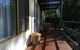 8 Ophir Ave, Ventnor - thumb 3