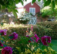 A Country Barn Retreat - Accommodation Gladstone