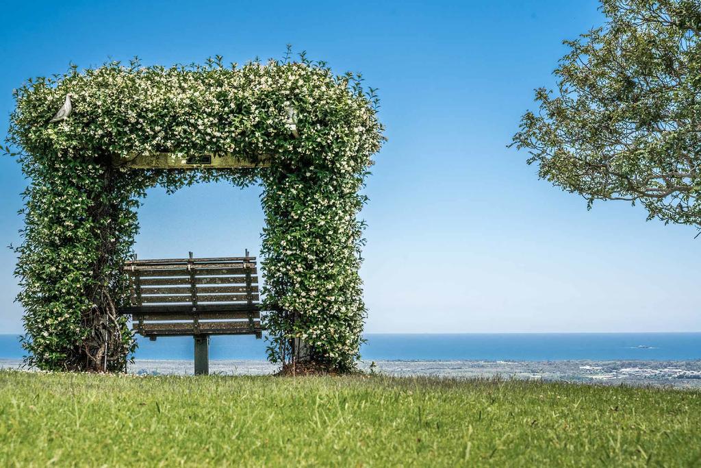 Mcleods Shoot NSW Accommodation Gladstone