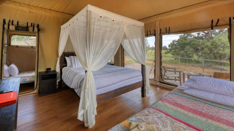 Dubbo Rhino Lodge - Accommodation Gladstone 4