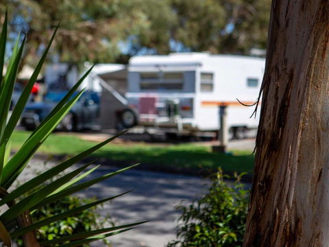 Echo Holiday Parks - Windsor Gardens - Accommodation Gladstone 4