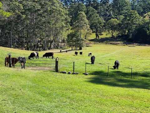 Fiery, Cozy Starry Nights - Farm Stay! - Accommodation Gladstone 2