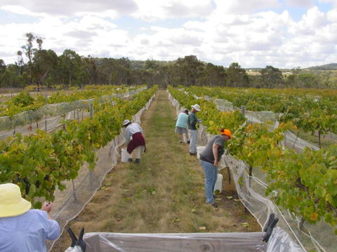 Fergies Hill Spa Cottage @ Granite Ridge Wines - Accommodation Gladstone 2