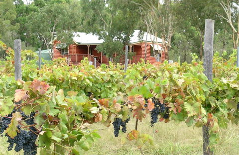 Fergies Hill Spa Cottage @ Granite Ridge Wines - Accommodation Gladstone 0