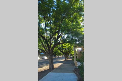 Gawler Heritage Accommodation - Accommodation Gladstone 1