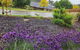 Getaway On Amaroo Way - thumb 1