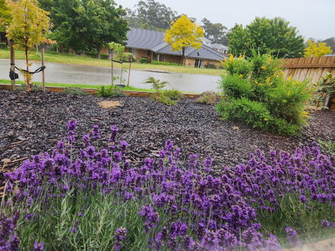 Getaway On Amaroo Way - Accommodation Gladstone 1
