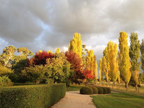 Glen Waverly Farmstay - Accommodation Gladstone 1