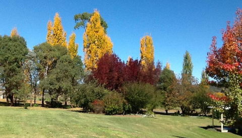 Glen Waverly Farmstay - Accommodation Gladstone 3