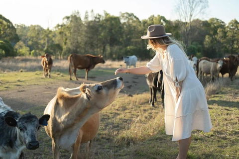 Golden Hill Farmstay By Tiny Away - Accommodation Gladstone 4