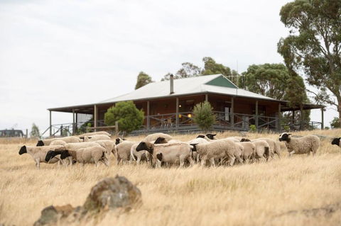 Gilgraves Vineyard Farmstay - Accommodation Gladstone 0