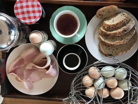 Gilgraves Vineyard Farmstay - Accommodation Gladstone 3