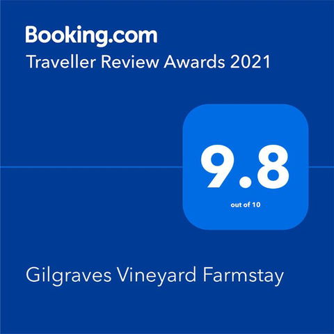 Gilgraves Vineyard Farmstay - Accommodation Gladstone 2