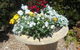 Grace Cottage - Free Wi-Fi, Foxtel,Central Heating - thumb 3
