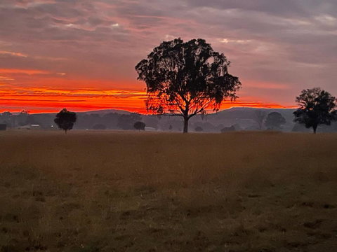 Graceland By Tiny Away - Accommodation Gladstone 0