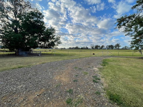 Graceland By Tiny Away - Accommodation Gladstone 4