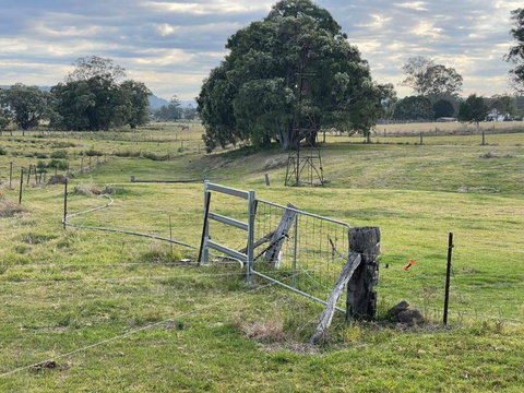 Graceland By Tiny Away - Accommodation Gladstone 2