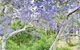 Green View Retreat Only 7 Minutes To Terrigal Beach - thumb 3