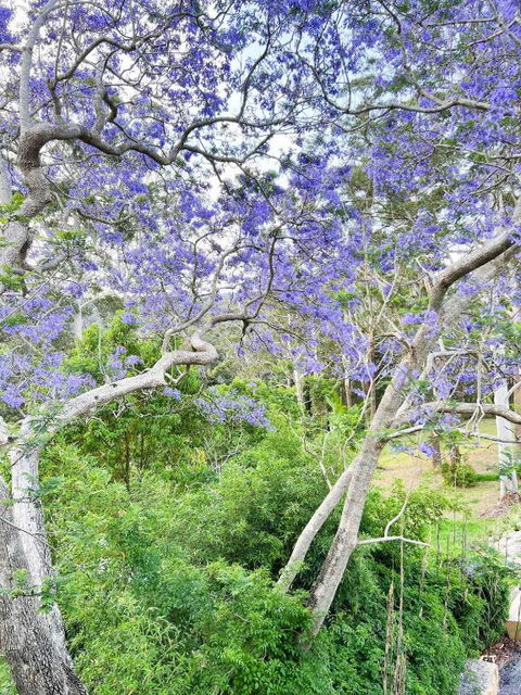 Green View Retreat Only 7 Minutes To Terrigal Beach - Accommodation Gladstone 3