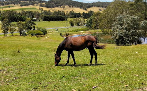 Honeycomb Hill Of Yarra Valley - Accommodation Gladstone 3