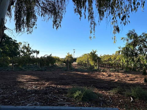House By The Vines - Accommodation Gladstone 0