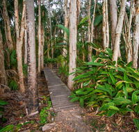 Agnes Palms Accommodation - Accommodation Gladstone