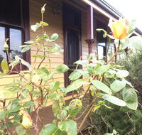 Albion Cottage - Accommodation Gladstone