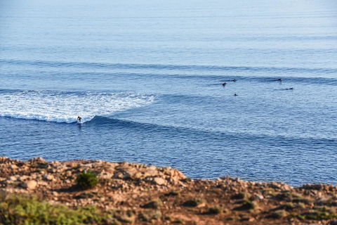 Aldinga Beach Experience - Accommodation Gladstone 3