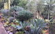Ancient Gardens Guesthouse & Botanical Gardens - thumb 2
