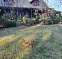 Angaston by the Winter Creek - Accommodation Gladstone