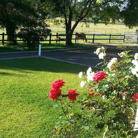 Appin Homestay B & B - Accommodation Gladstone 3