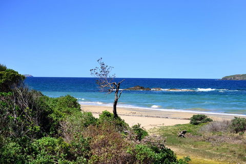 Aqualuna Beach Resort - Unit 25 - Accommodation Gladstone 3