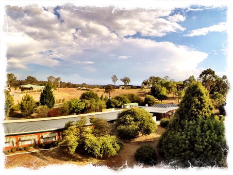 Armidale Rose Villa Motel - Accommodation Gladstone 1