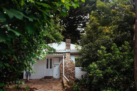 Luxury Treetop Escape With A Garden Glasshouse - Accommodation Gladstone 3