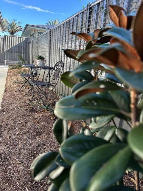 Magnolia Little Gem - Accommodation Gladstone 0