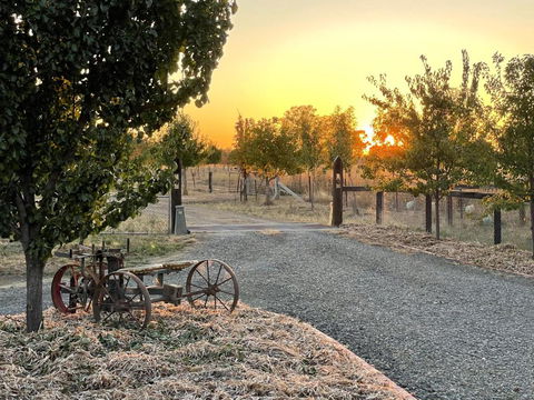 Maple Lane Farm Stay - Accommodation Gladstone 0