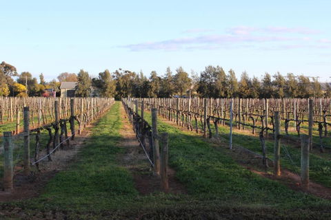 Milawa Vineyard Views - Guesthouse 1 - Accommodation Gladstone 2