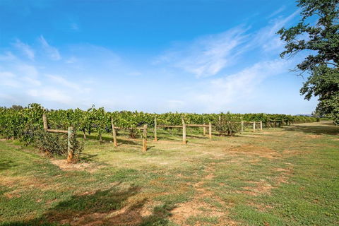 Milawa Vineyard Views - Guesthouse 2 - Accommodation Gladstone 0