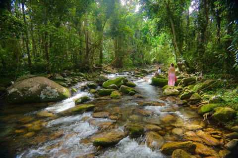 Misty Mountains Hideaway - Accommodation Gladstone 0