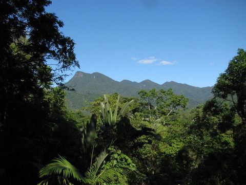 Mossman Gorge Bed And Breakfast - Accommodation Gladstone 0