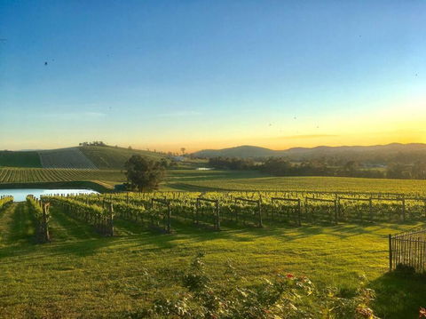 Mount Hope Estate Vineyard - Accommodation Gladstone 0