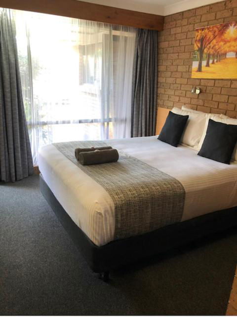 Muswellbrook Motor Inn - Accommodation Gladstone 2