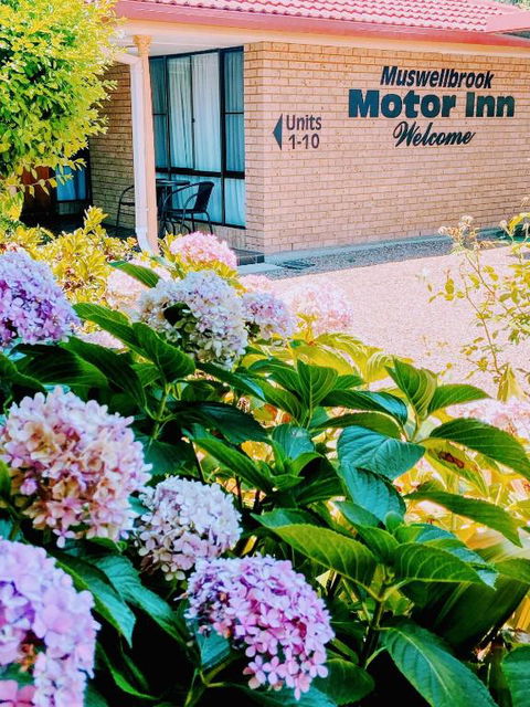 Muswellbrook Motor Inn - Accommodation Gladstone 0