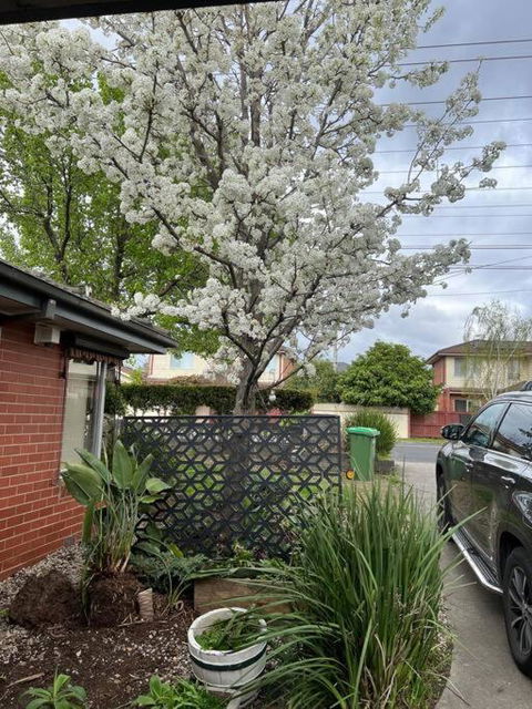 Newly Refurbished House- SuperFast Internet - Accommodation Gladstone 2