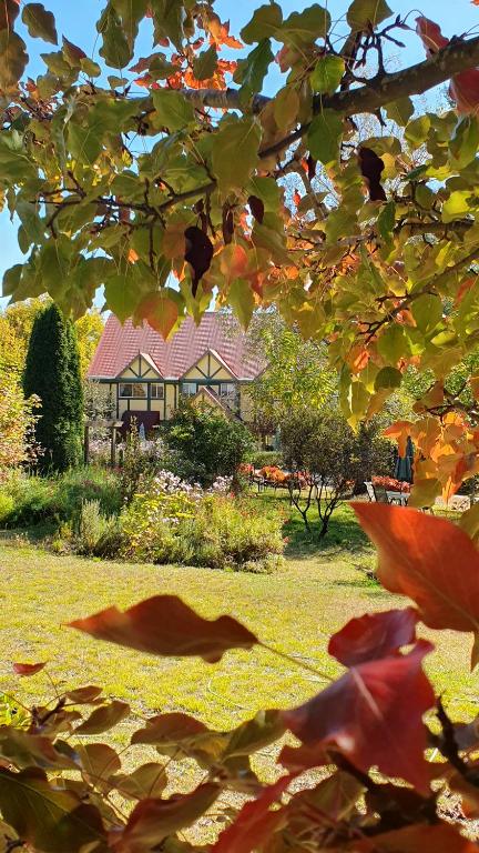 Oaktree Guest House - Accommodation Gladstone 0