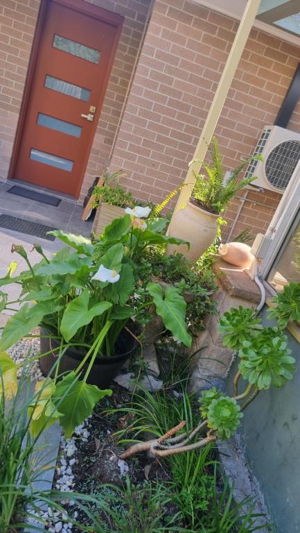 Oasis In The Heart Of Dural - Accommodation Gladstone 3
