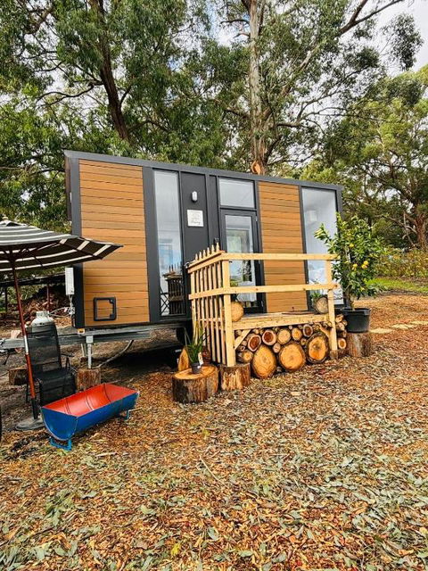 Orange 2 By Tiny Away - Accommodation Gladstone 2