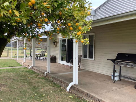 Orange Tree Cottage - Accommodation Gladstone 0