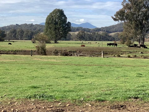 Orange Tree Cottage - Accommodation Gladstone 3