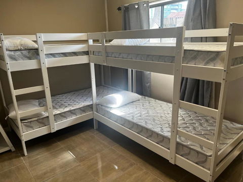 Palm Hamilton Backpacker - Accommodation Gladstone 3